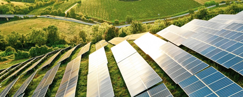 Panneaux photovoltaiques alignés sur un flanc de colline