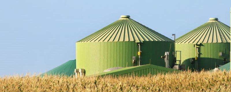 Biogaz derrière le champ de maïs