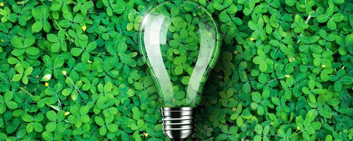 Énergie verte : Ilek, le pionnier toulousain qui révolutionne le paysage énergétique français